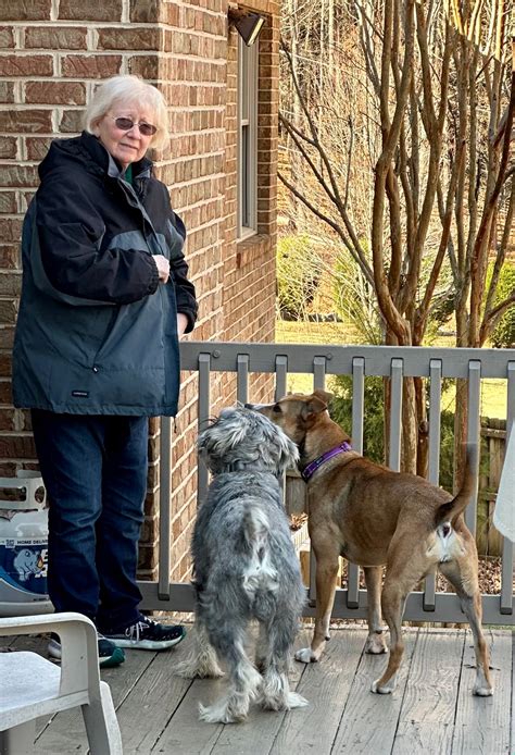 Protecting Animals in Fincastle: Join the League for Animal Protection Today