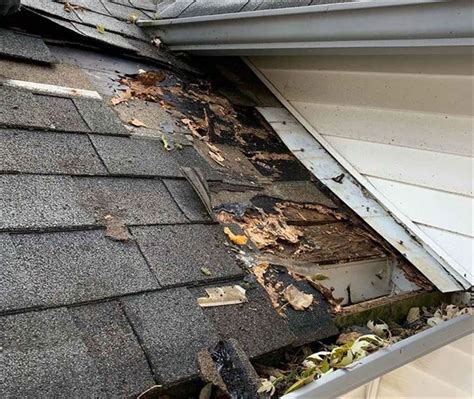 Leaking Commercial Roof Austin