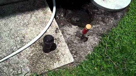 Leaking Sprinkler Head