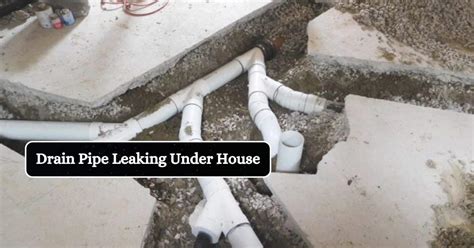 Leaking pipe under house