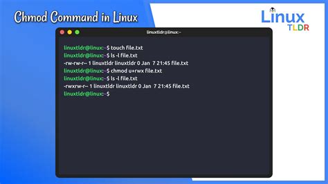 Learn About Chmod 777 Command in Linux
