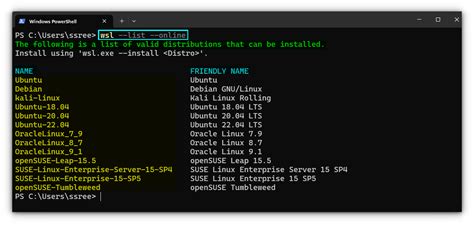 Learn More About the WSL Commands