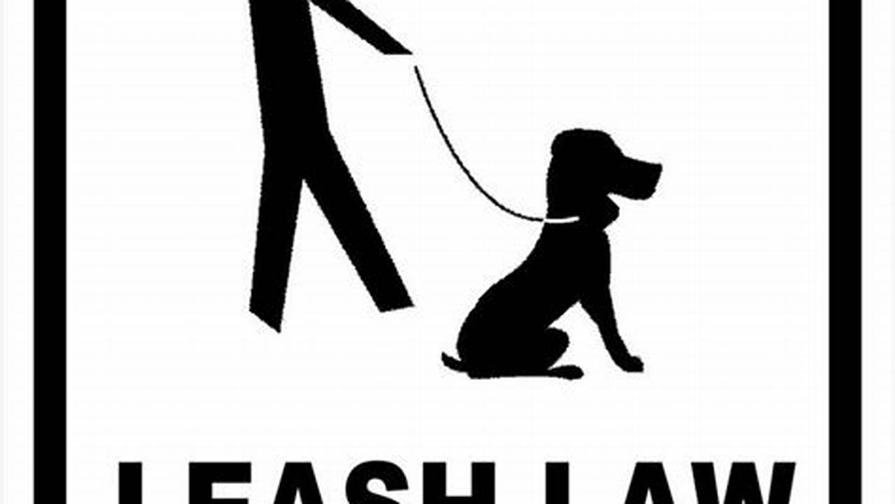 Leash Laws, Pet Friendly Hotel