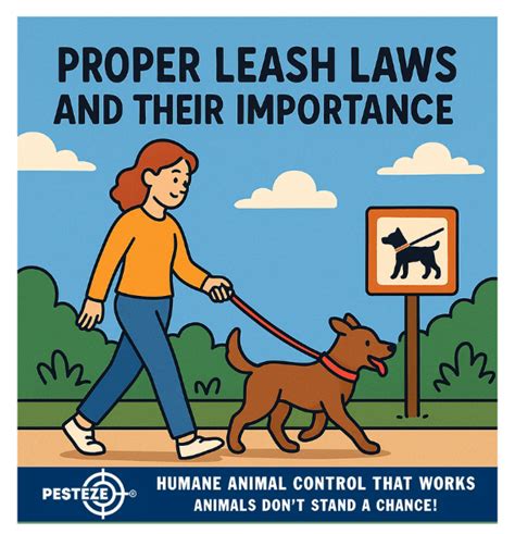 Leash Laws and Cleanliness