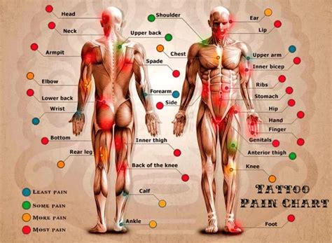 Least Pain Spots For Tattoos