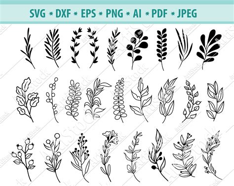 Leave SVG behind with these top tips for optimizing your website's graphics!