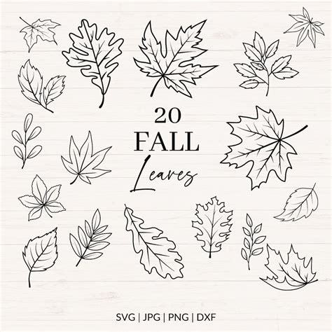 Download Leaves Commercial Use DXF Files