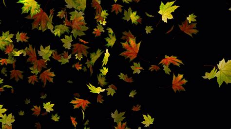 Leaves Falling Animation