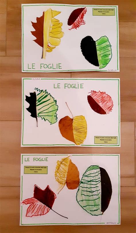 Leaves In French