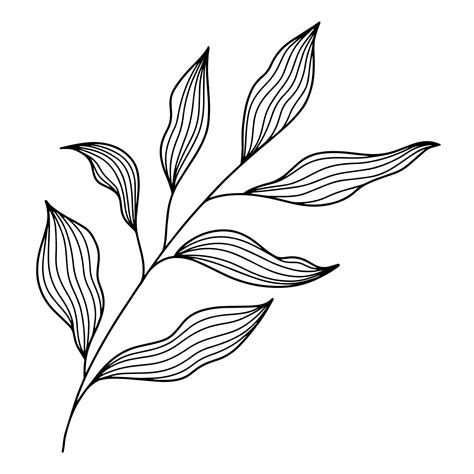 Leaves Line Art