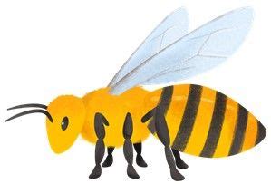 Lebah Bernapas Dengan