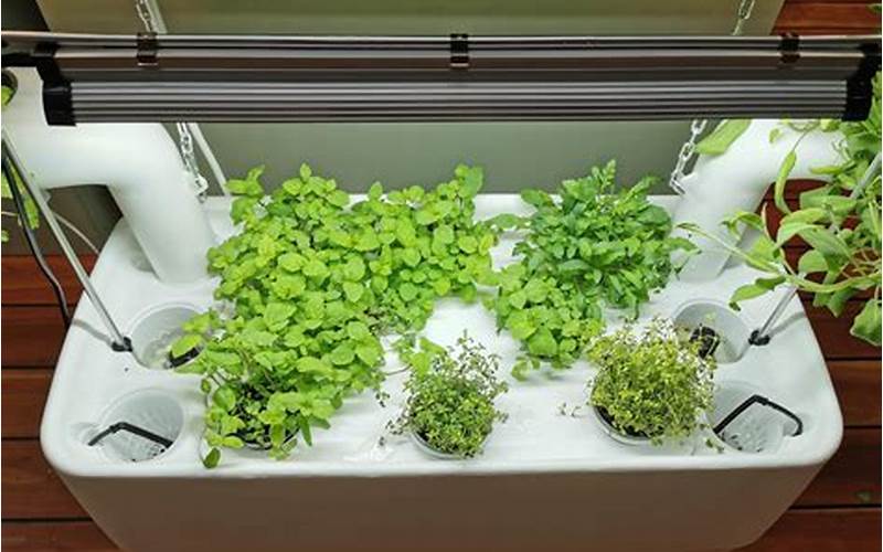 Led Lights For Hydroponic Gardening