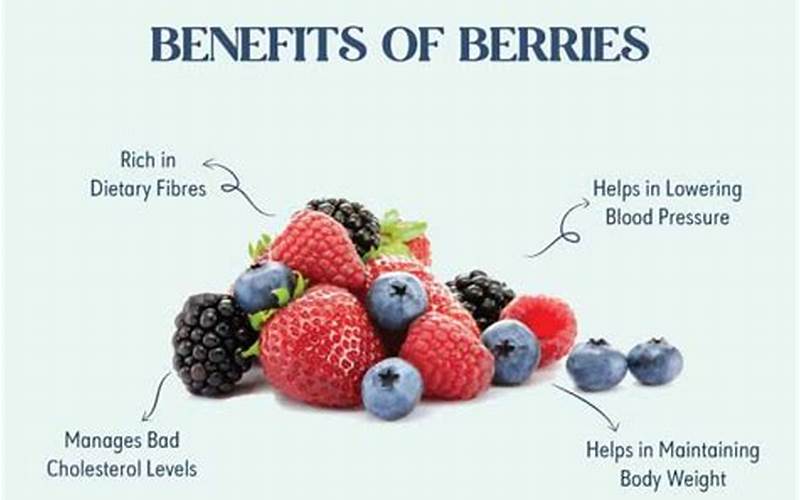 Ledidi Berry Health Benefits