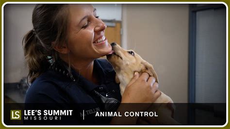 Trusted Lee's Summit Animal Control: Ensuring Safety and Protection for Your Pets