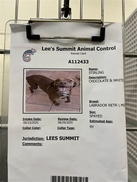 Quickly Contact Lee's Summit Animal Control: Get Their Phone Number Today!