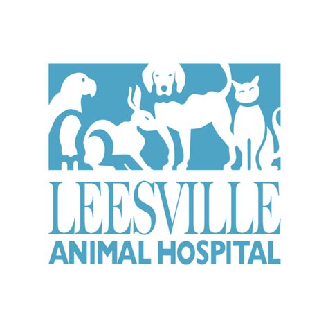 Leesville Animal Hospital Raleigh NC: Trusted Veterinary Care for Your Furry Friends