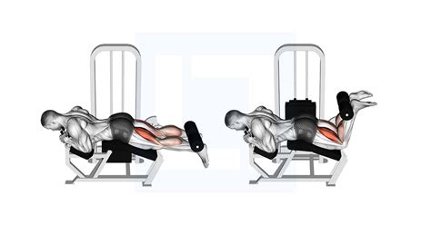 Leg Curling