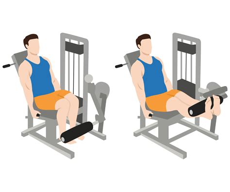 Leg Extension