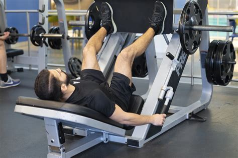 Leg Presses