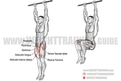 Leg Raise Hanging