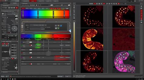 Revolutionize Your Microscopy Game with Leica SP8 Confocal Software: A Cutting-Edge Solution for Enhanced Imaging Experience