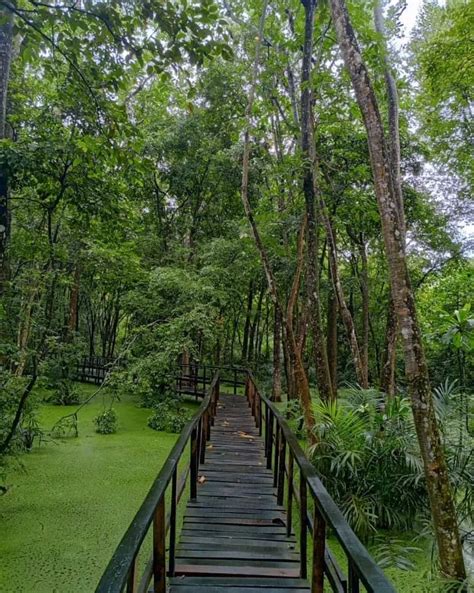 Lekki Conservation Center Tour: Is it Worth it? A Review