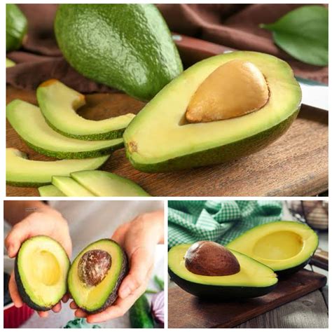 https://tse1.mm.bing.net/th?q=Lemak+Sehat+Alpukat