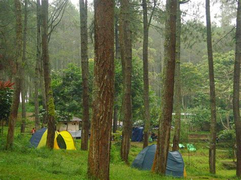 Lembang Camping Ground Indonesia