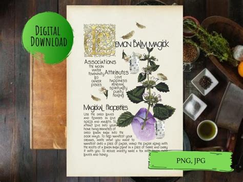 The enchanted abilities of Lemon Balm: Exploring the magickal properties behind this bewitching herb