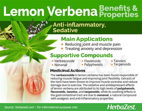 Unlock the secrets of nature: Discover the amazing effects of Lemon Verbena on your skin!