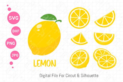 Download Lemons Fruit Slice Bundle Graphic Files
