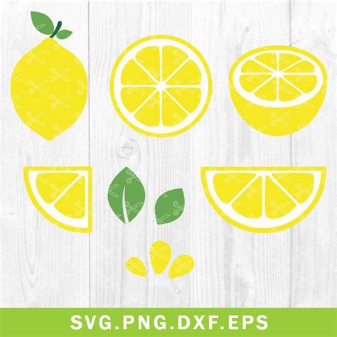 Download Lemons Fruit Slice Bundle Graphic Files DXF Files