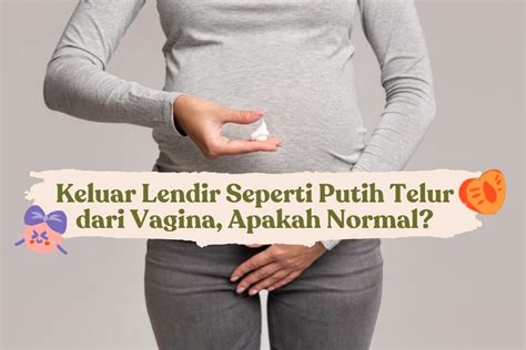 Lendir Normal