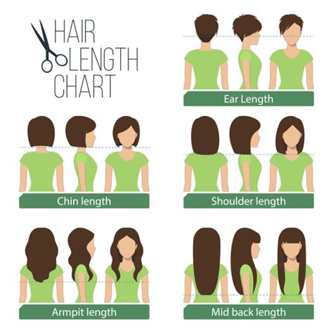 Lengths and Cuts to Consider