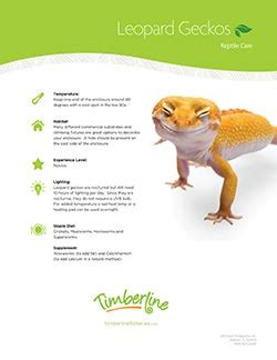 Leopard Gecko Care Sheet Printable