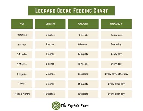 Leopard Gecko Food Chart