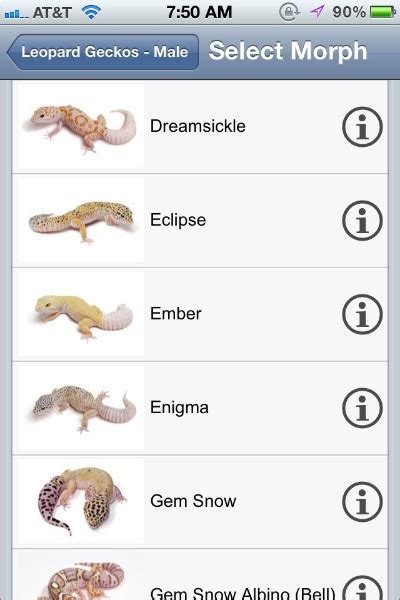 Unlock the Secrets of Leopard Gecko Breeding with our Genetic Calculator Tool