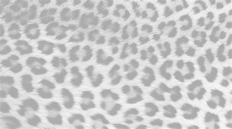 Download Leopard Print, Leopard Spot Images