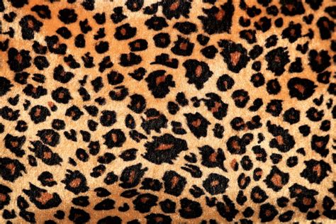 Leopard Print Background