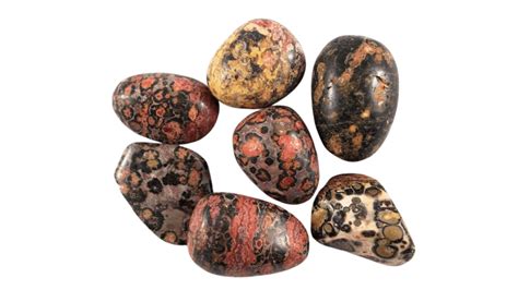 Stunning Leopard Skin Jasper Chakra: Unleash Your Inner Wildness!