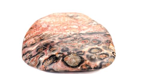 Unleashing Awe-Inspiring Power: Unravel the Hidden Wonders of Leopard Skin Jasper!