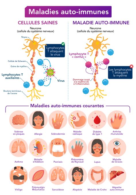 Les maladies auto-immunes