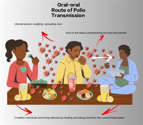 Less Common but Possible Oral-Oral Transmission