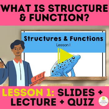 Unlocking the Wonders of Animal Structure and Function: Exploring Lesson 10 in Biology