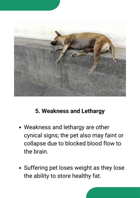 Lethargy and Weakness