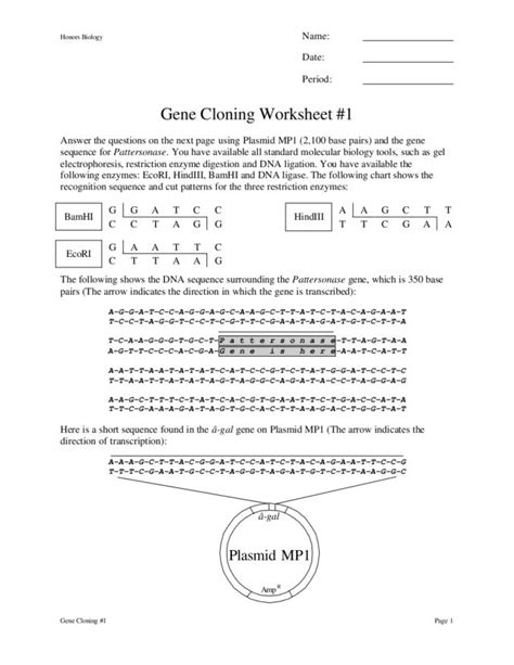 Lets Clone A Mouse Worksheet Answers