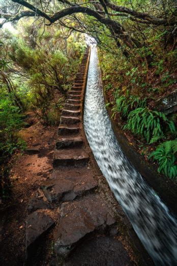 Levada Do Alecrim Waterfall