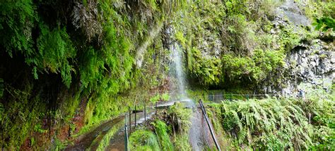 Levada Do Rei Hike: A Madeira Adventure Guide