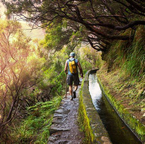 Levada Walk Highlights