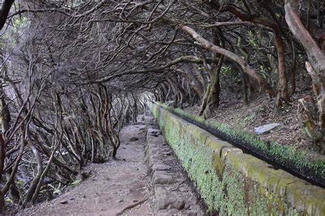 Levada Walk Safety